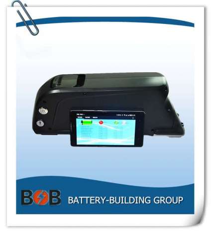 48V Battery Pack with Bluetooth BMS, 5V USB